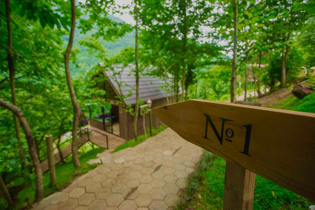 Woodpecker Ვუდფექერი Villa Batumi Exterior foto